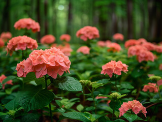 Poster - red flowers in the garden