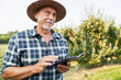 Senior farmer browsing mobile phone while standing on apple farm