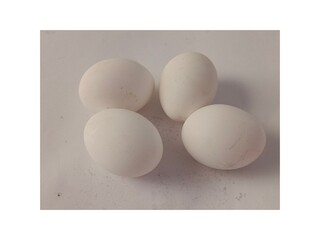 Eggs on White Background