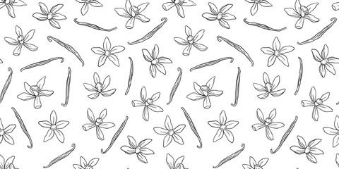 Wall Mural - Seamless pattern with vanilla pods and plant. Vector outline flowers on white