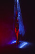 © kohanova1991 - Ballet dancer in pointe under multicolor neon laser light on stage. Woman ballerina posing in dark room. Performance, projection mapping. Interactive installation, Optical visuals concept