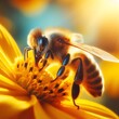  Bee and flower. Close up of a large striped bee collects honey on a yellow flower on a Sunny bright day. Macro horizontal photography. 