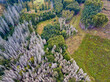 Aerial view of autumn sunrise countryside, traditional fall landscape with rising sun in Central Europe. Part of forest devastated by bark beetle. Landscape from bird eye. Czech Republic, Vysocina