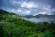 Misty and fogy jungle landscape. Hard trek to hidden ancient ruins of Tayrona civilization Ciudad Perdida in Colombian jungle. Santa Marta, Sierra Nevada mountains, Colombia wilderness.