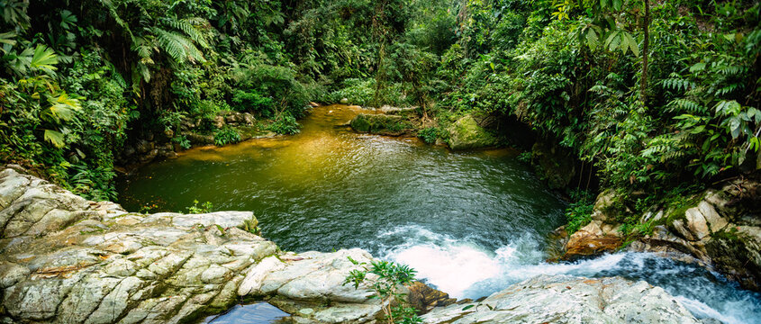 Small natural pond in jungle. Hard trek to hidden ancient ruins of Tayrona civilization Ciudad Perdida in Colombian jungle. Santa Marta, Sierra Nevada mountains, Colombia wilderness landscape.