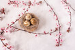  bird's nest with eggs and a blossoming sakura branch on a light pink putty  background. spring background. Easter background.
