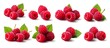 © Five Million Stocks - set of Raspberry , many angles and view side top front group pile heap isolated on white background cutout. Mockup template for artwork graphic design