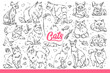 Domestic cats of different breeds in different poses, resting or hunting for toys. Fluffy and hairless cats for advertising zoo store with products for pet owners. Hand drawn doodle