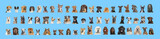Fototapeta  - Collage of many different dog breeds heads, facing and looking at the camera against a neutral blue background
