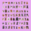 Collage of many different dog breeds heads, facing and looking at the camera against a pink background