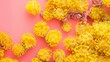 yellow corals on a pink background.