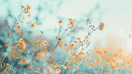 Canvas Print - field of flowers