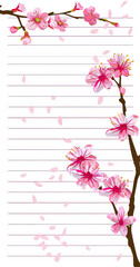 Wall Mural - Lined white sheet with petals and sakura flowers
