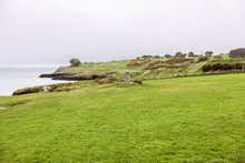 Irish East Coast Landscape