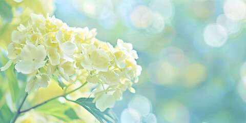 Canvas Print - Yellow flowers on a blue background
