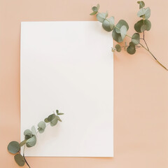 White blank leaf on pink background with eucalyptus sprig
