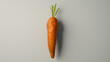 A 3D render of a single cartoon carrot on a white background.

