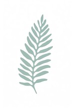A Delicate Fern Leaf With Intricate Patterns And A Deep Green Color, Laid Out Flat Against A White Background To Focus On Its Delicate Structure And Natural Beauty. Cartoon Drawing, Water Color Style,