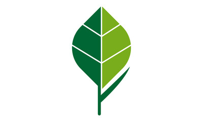 Poster - logo vector green leaf