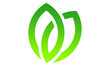 simple green leaf logo