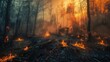 Dramatic view trees forest destroyed by damage wild fire with smoke. Generated AI image