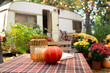 Pumpkin and decoration on garden table. Decorated garden with pumpkins and chrysanthemums. Front Porch decorated for Halloween, Thanksgiving. Fall season. 