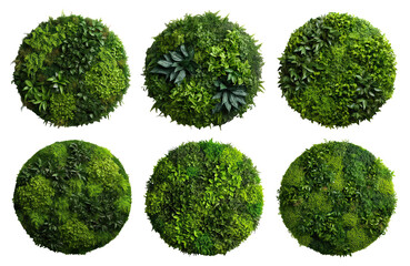 Poster - Set of round green garden wall panels from tropical plants, cut out