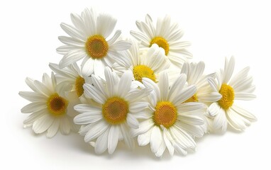 Poster - AI generated illustration of a white daisy bouquet with yellow centers on a white background