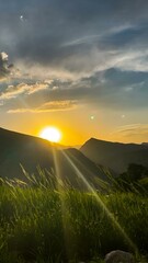 Wall Mural - Sun setting over trees and green hillside