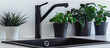 Black kitchen faucet closeup with sink and green plants in a modern white kitchen interior. Fashionable plumbing fixtures for the home.