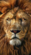 © outdoorsman - Majestic lion face