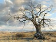 © CatNap Studio - Landscape of dead trees in a dry area from the concept of loneliness and life.