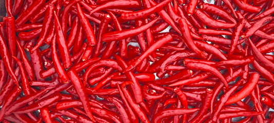 Poster - Red chilli for spicy cooking, background