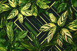 Geometric pattern green leaves top view