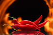 red chili pepper, on a background of burning fire, flames on a black background, hot and spicy spices