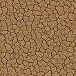 Dry ground texture seamless