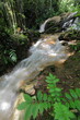 Small waterfall and rapids in the forest, Centinelas del Rio Melodioso Hike, Guanayara Park, Sierra Escambray Mountains. Cienfuegos Province-Cuba-218