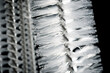 Close-up of brushes for cleaning test tubes