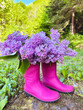 Purple Lilac in Pink Rubber Boots