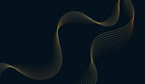 Fototapeta Abstrakcje - dark abstract background Modern technology style and flow waves Vector illustration