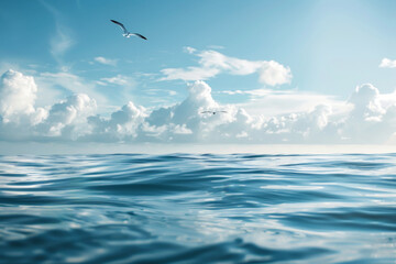 Wall Mural - In the water with smooth blurred water in foreground and slim piece of land on horizon with white puffy clouds and sea birds