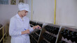 Winemaker young woman checking and examining producing wine at winery in factory, inspector checking quality and wine in bottle and check stock at factory, industrial and manufacture concept.