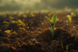 The delicate moment of a seedling breaking through the soil, symbolizing new beginnings and the start of life - Generative AI
