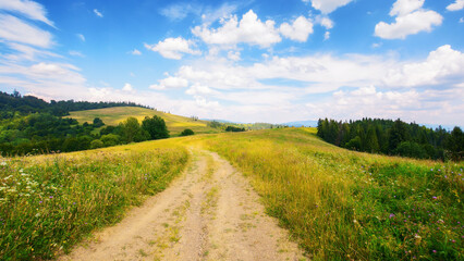 Wall Mural - rural road through green meadows on rolling hills. hiking through carpathian rural area. mountain la