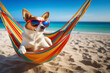 Jack russell dog  with sunglasses relaxing on a rainbow hammock. Vacation concept.