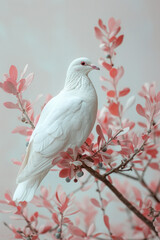 Poster - A minimalist design with a white dove carrying an olive branch, set against a soft pastel background,