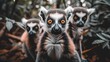   A group of lemurs stands atop a lush forest canopy, surrounded by an abundance of foliage and leaves