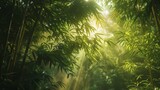 Fototapeta Las - A tranquil bamboo forest with sunlight filtering through the dense foliage.