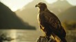   A tight shot of a bird of prey perched on a rock by a body of water Mountains rise in the backdrop