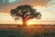 A vast savannah with a lone, ancient baobab tree standing tall against the setting sun